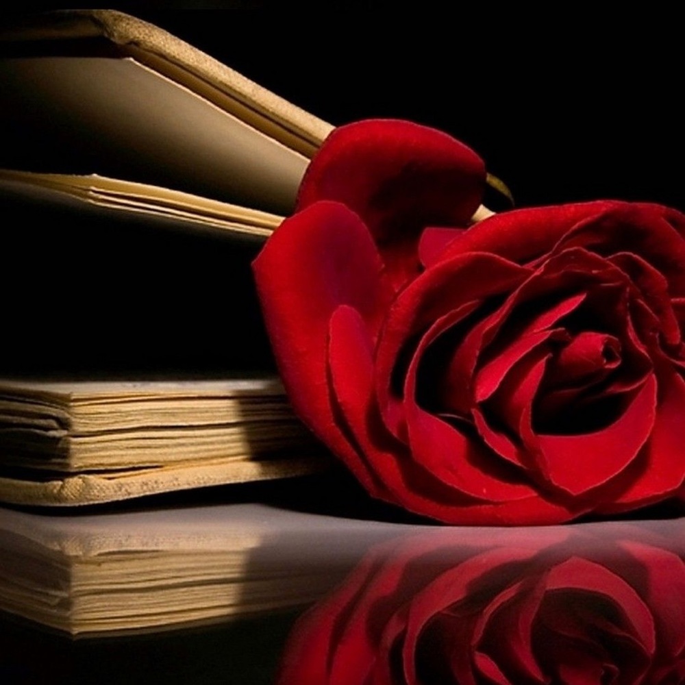 Meet your Posher, Ana